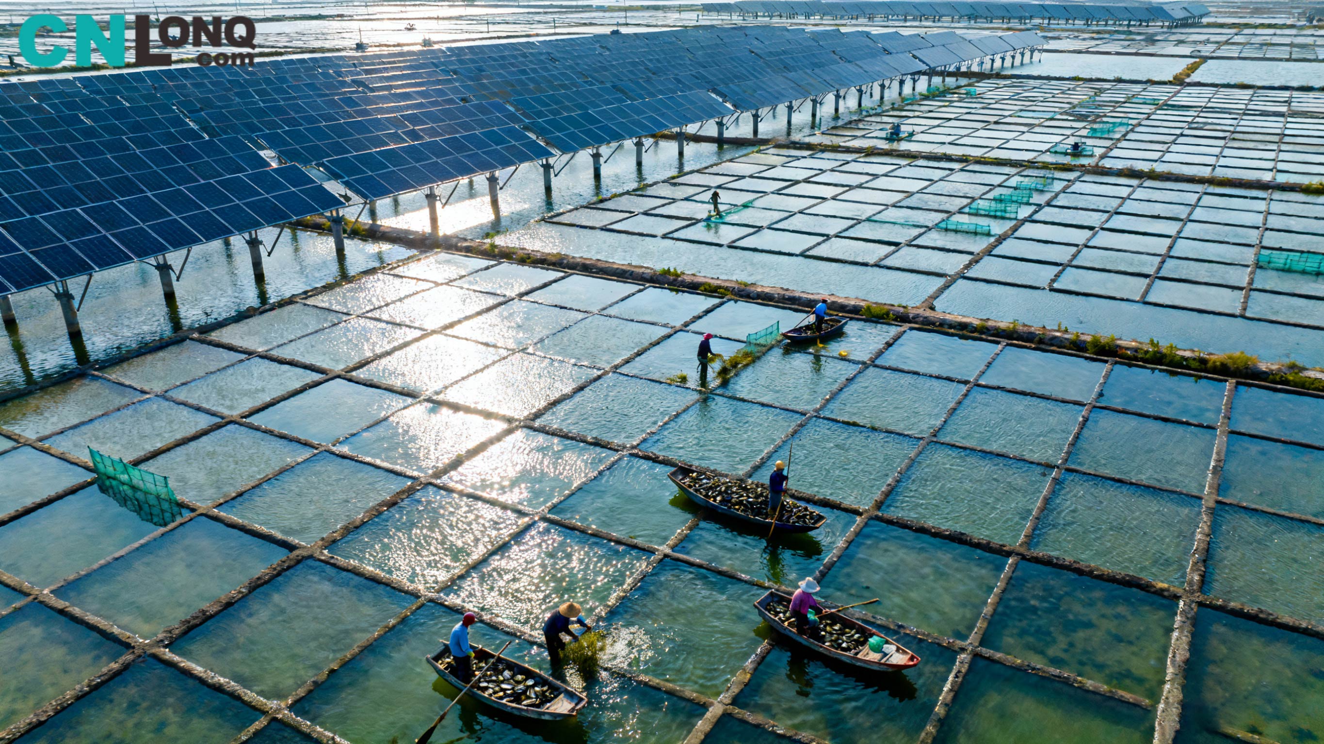 Bendra investicija 1,2 milijardo RMB! Xindao Qingkou druskos lauko 250 MW „Žuvininkystės ir saulės energijos papildymo“ projektas laužo pagrindą